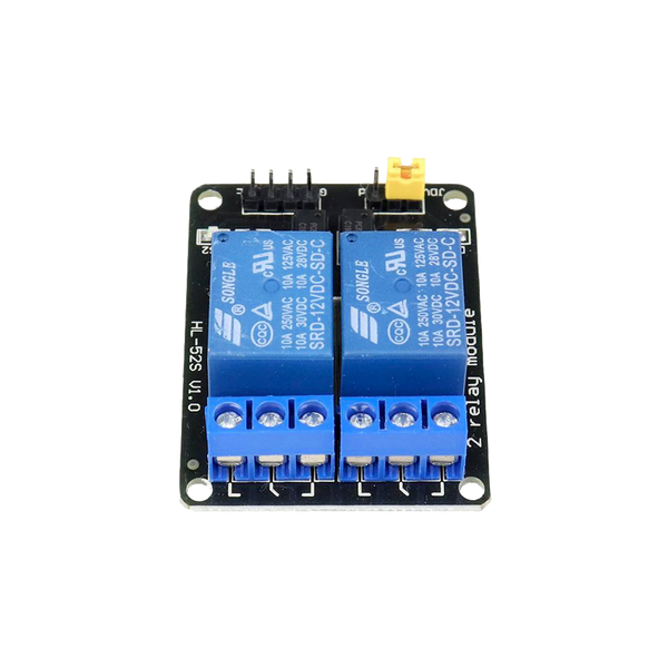 12V 2 Channel Relay Module